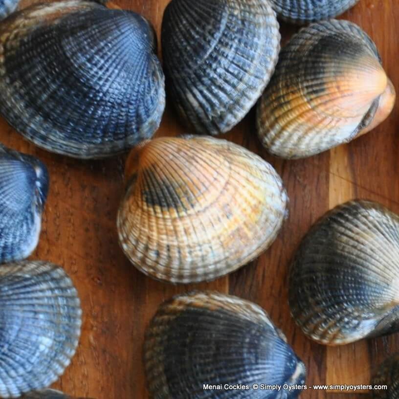 Cockles Buy Online Live Cockles UK Delivery Simply Oysters